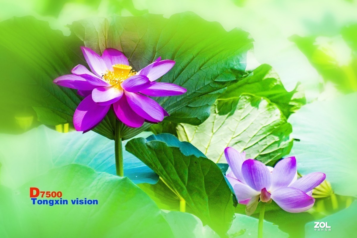 #版主坐堂#小五星空(中国)2021年8月精品荟萃