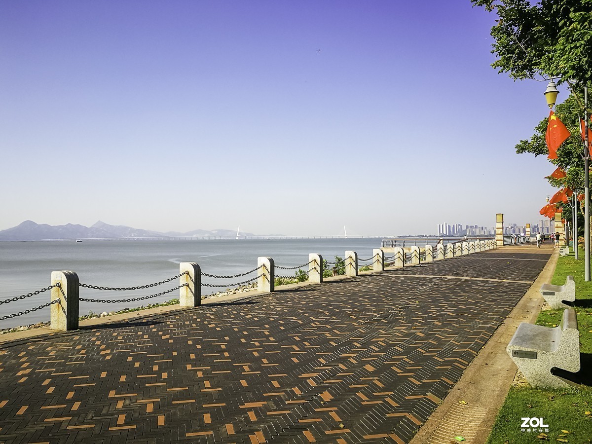 深圳湾红树林公园 ~ 掠影