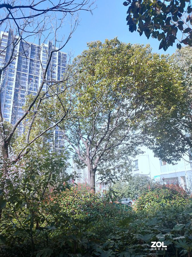 美丽的风景随拍