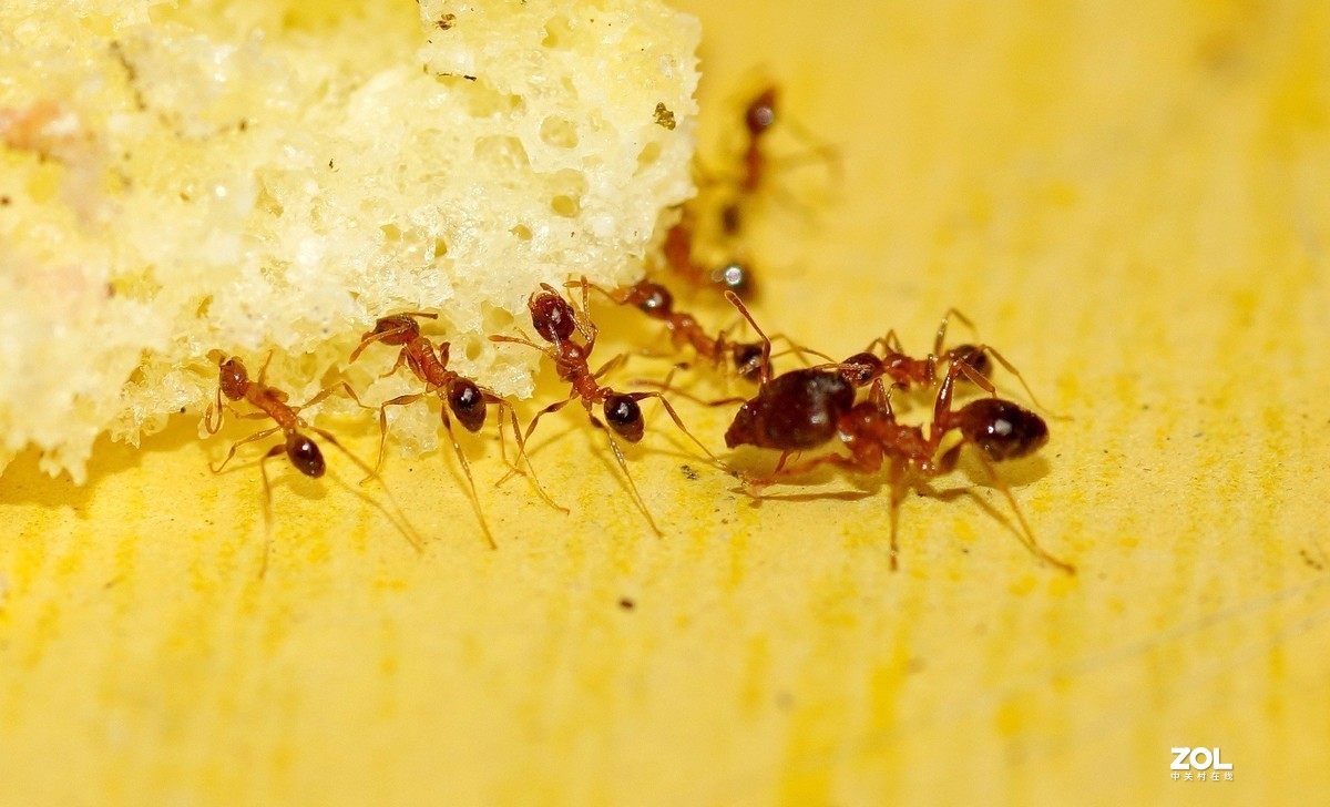 #版主坐堂#小五星空(中国)2021年8月精品荟萃