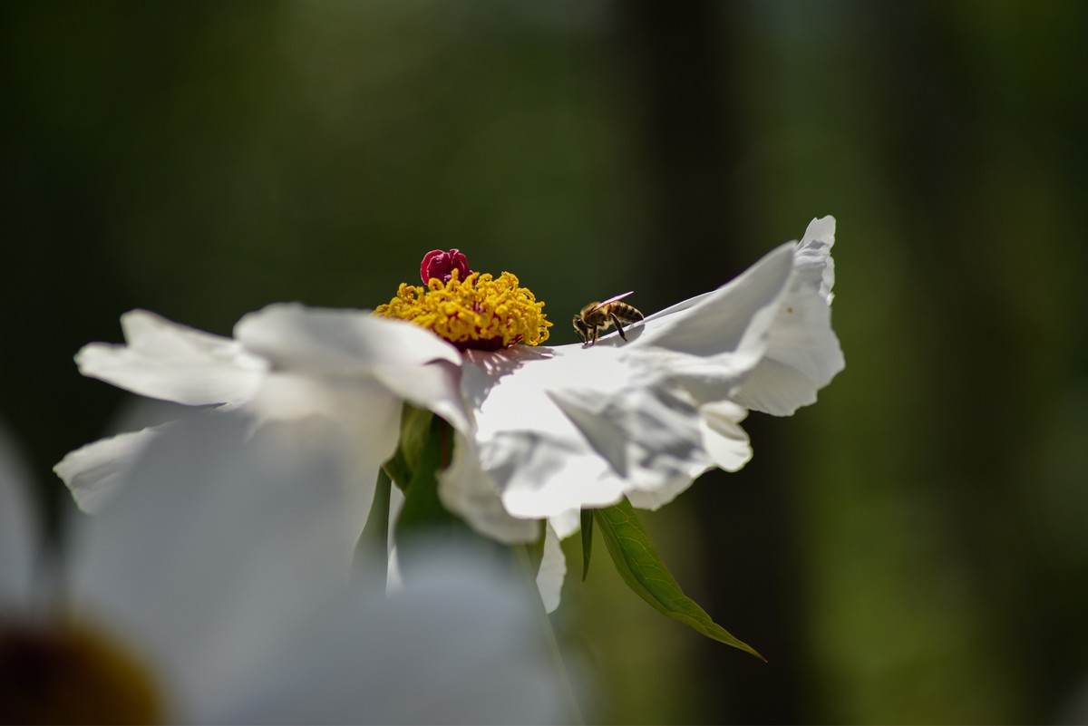 比较一下750的成像，腾龙A17-70-300镜头