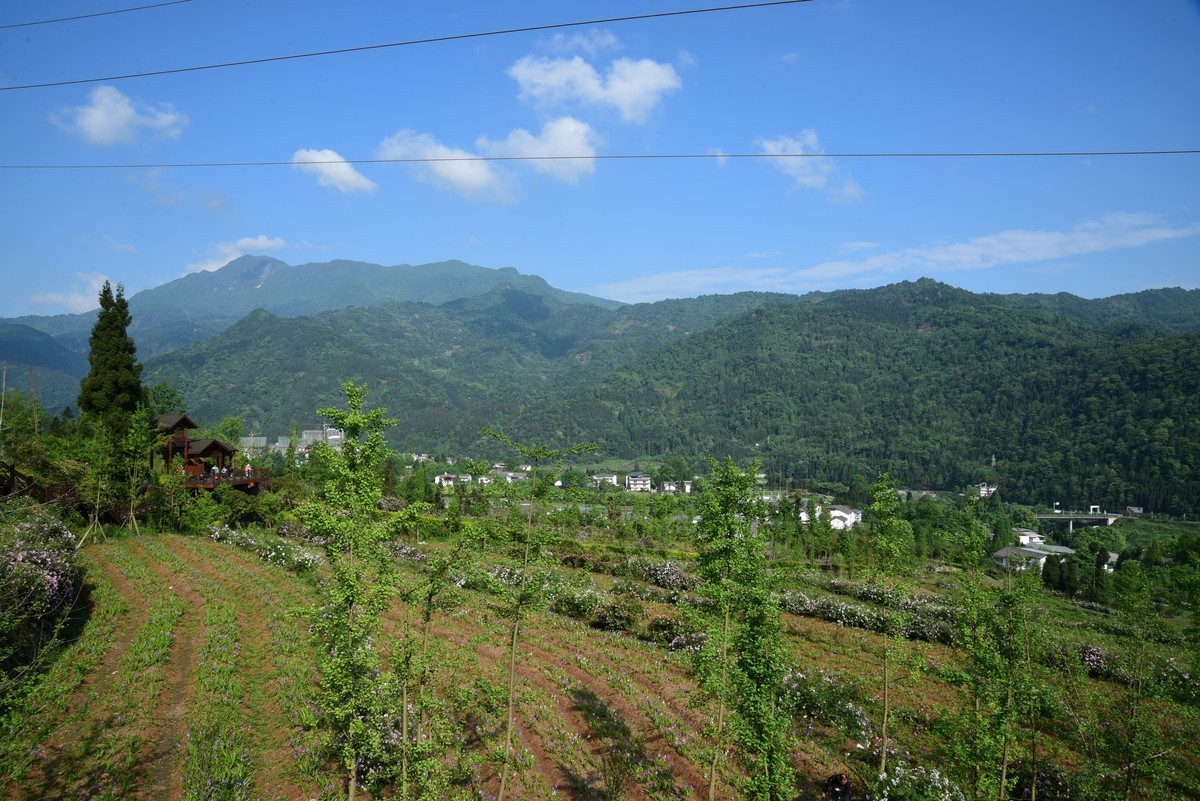 相机是尼康D750,可能无图片信息，很好用的旅游头。