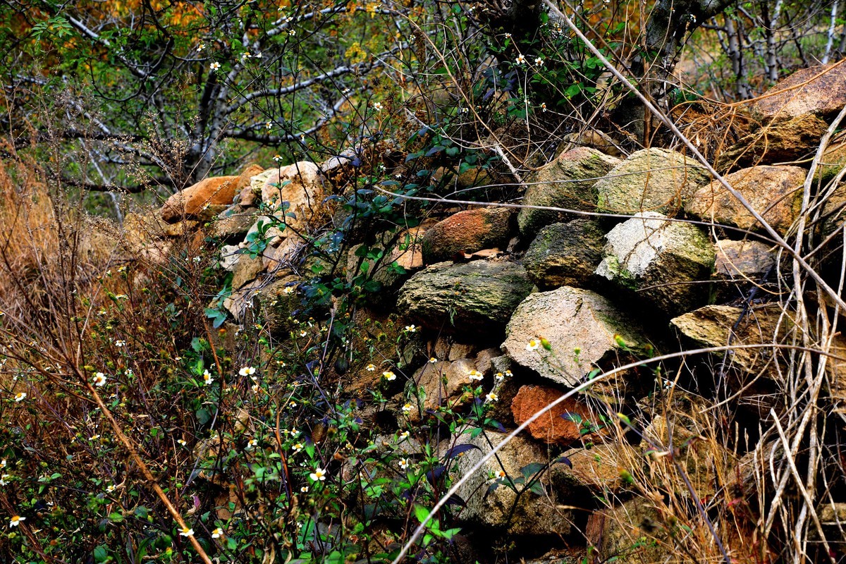 秋天风景美如画