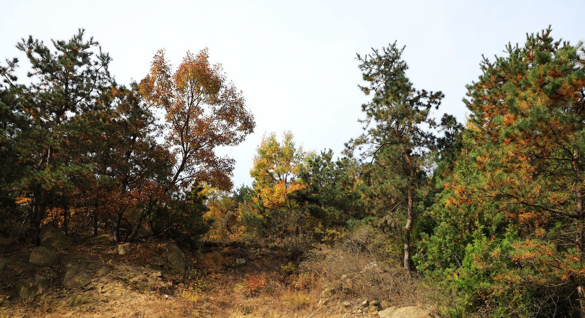 秋天风景美如画