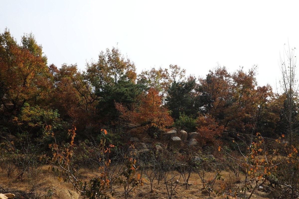 秋天风景美如画