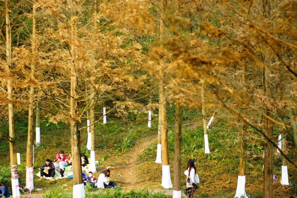 第一次用美能达50微作挂机头试机