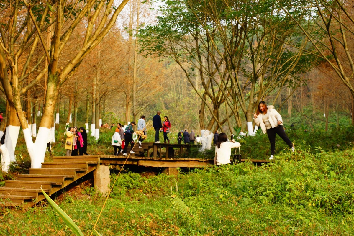 第一次用美能达50微作挂机头试机