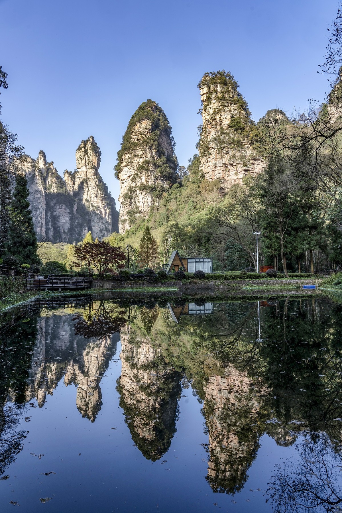 金鞭溪风景区图片