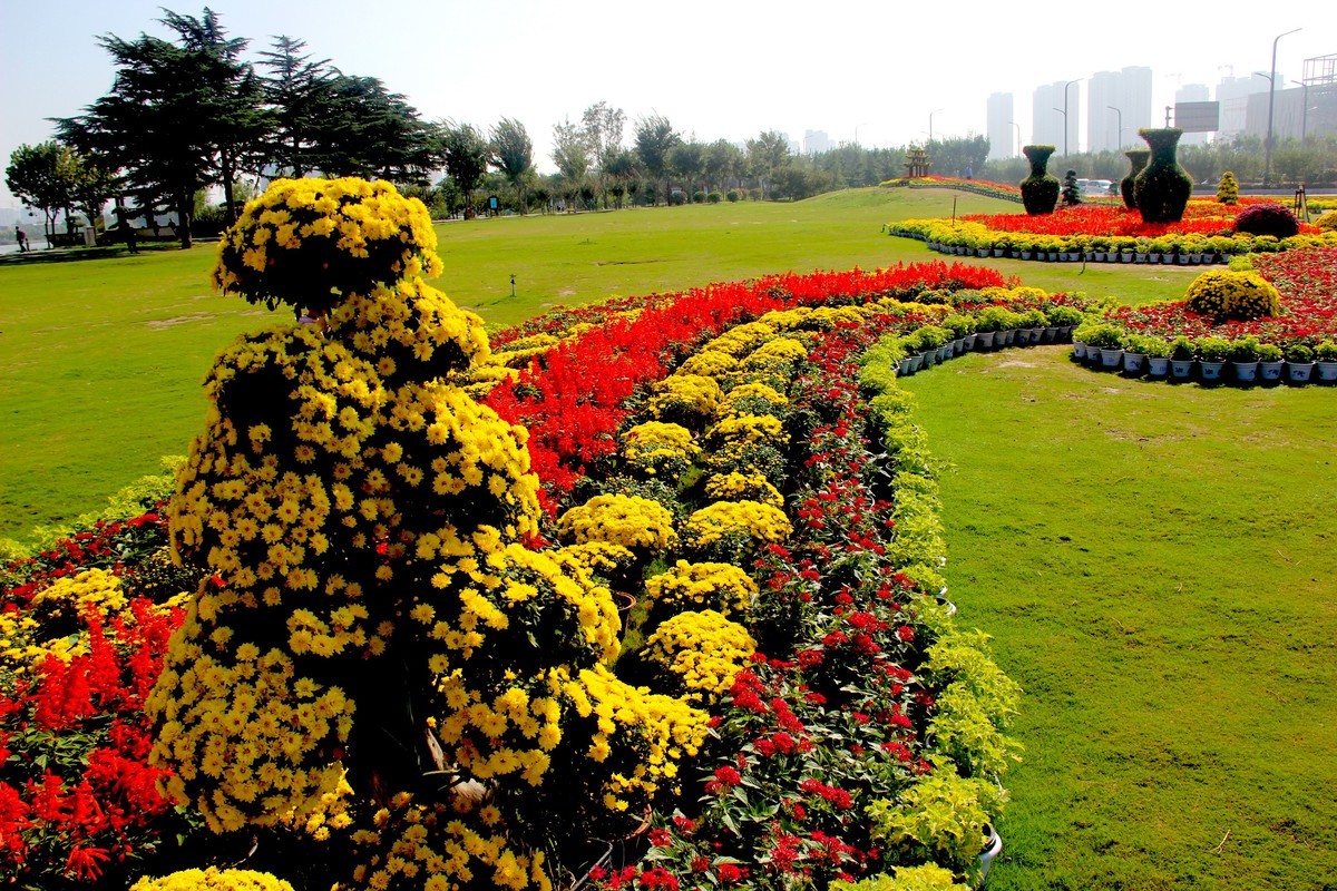贺国庆cbd公园花坛1