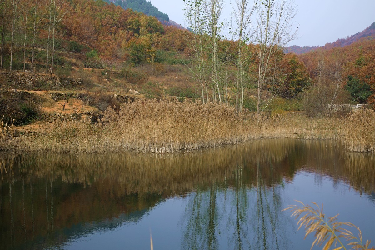 秋天风景美如画