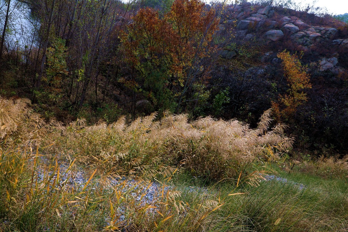 秋天风景美如画
