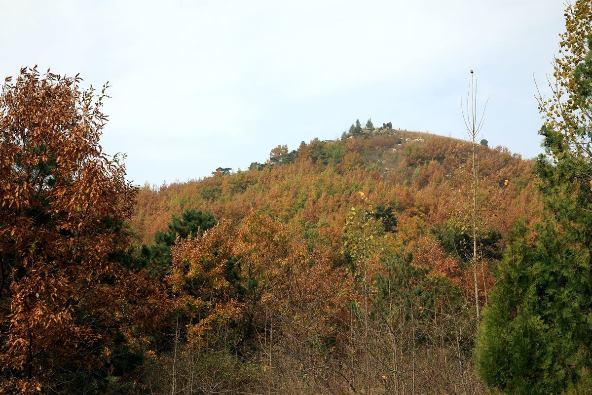 秋天风景美如画