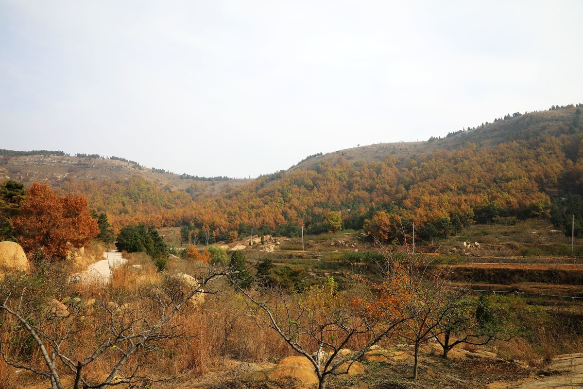 秋天风景美如画