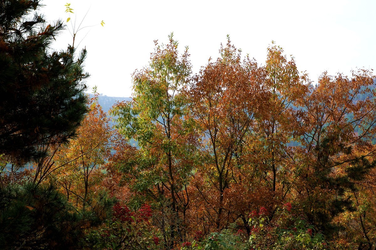 秋天风景美如画