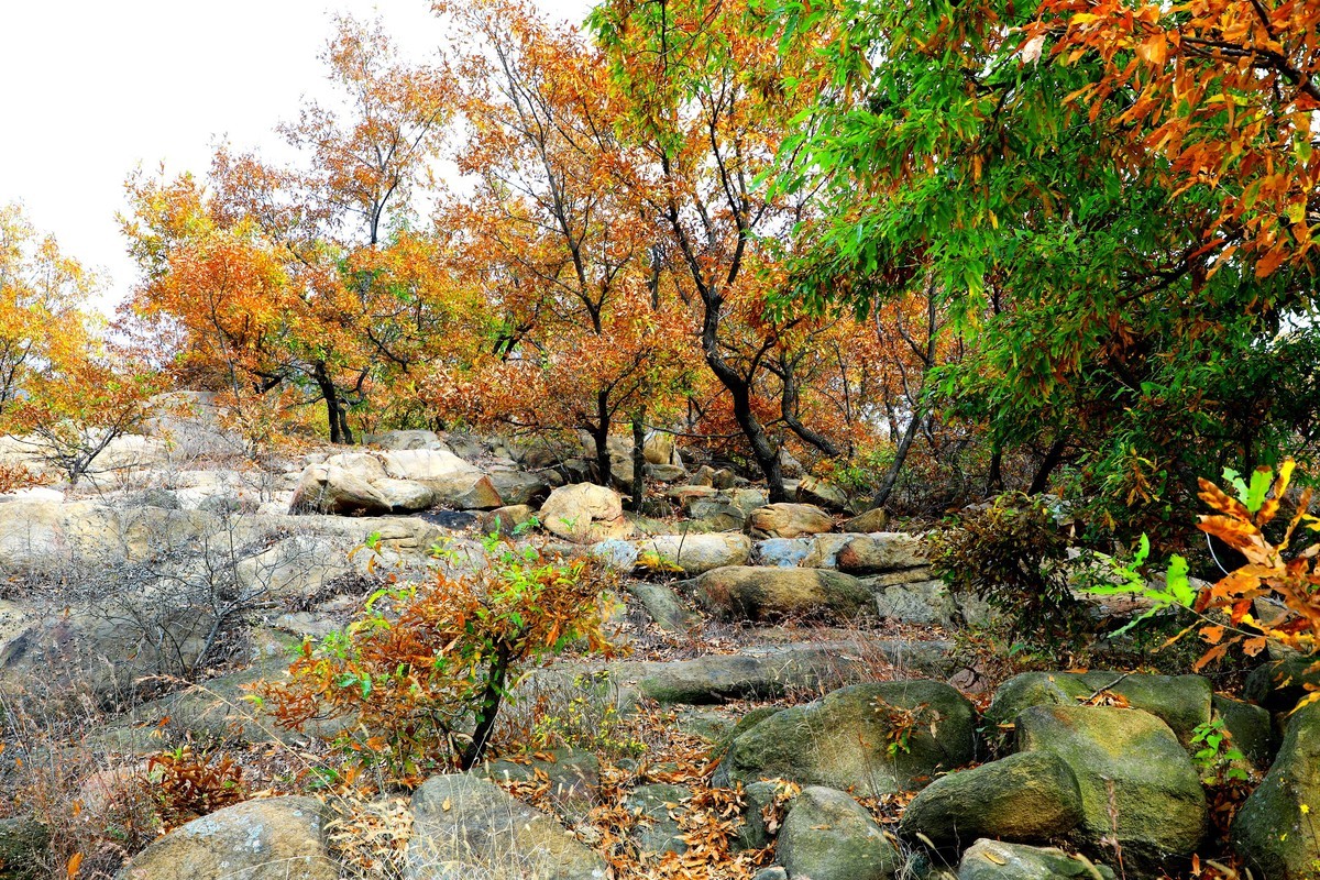 秋天风景美如画