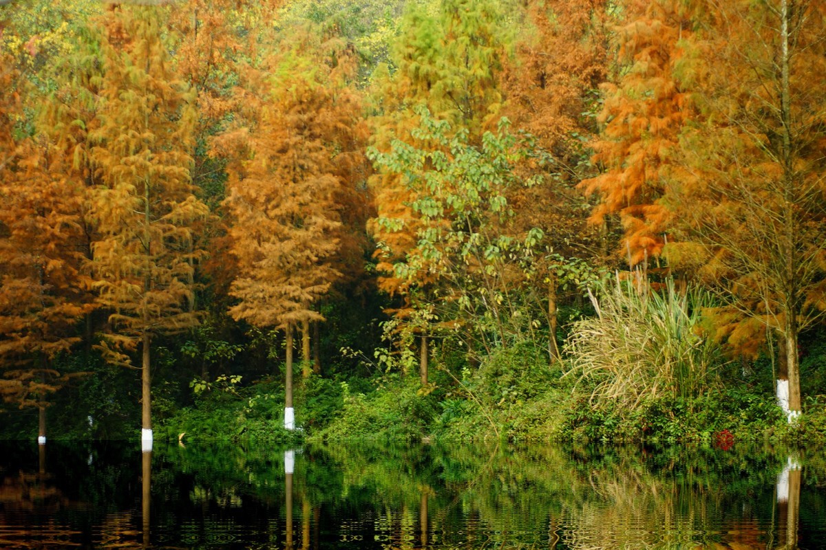 第一次用美能达50微作挂机头试机