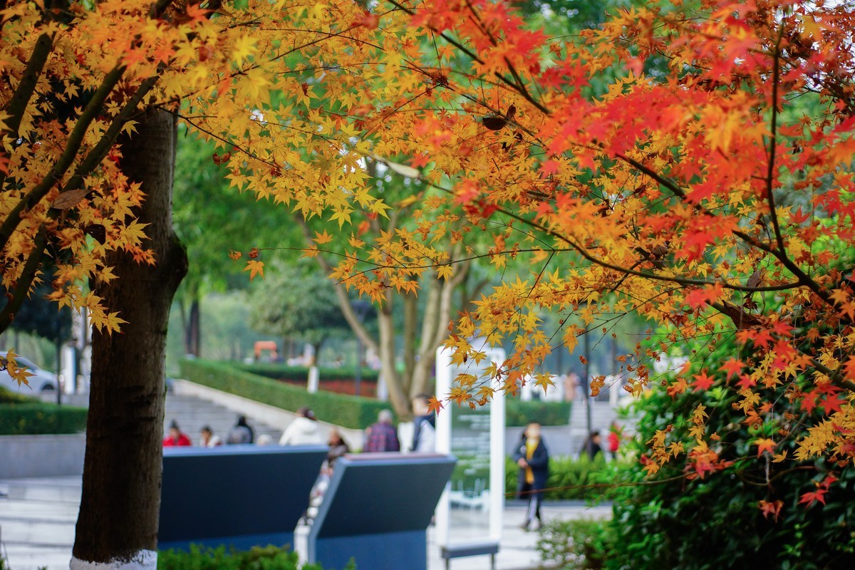 第一次用美能达50微作挂机头试机