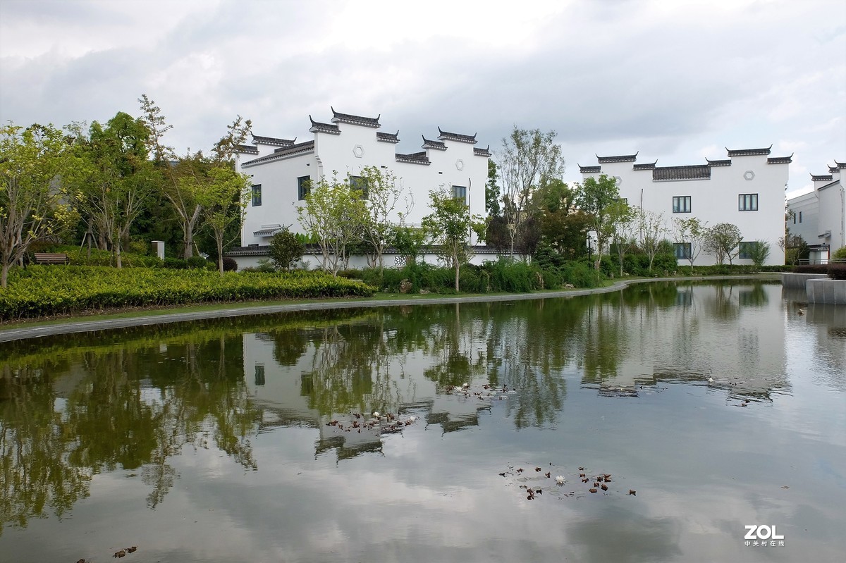 【小小公园的景致】