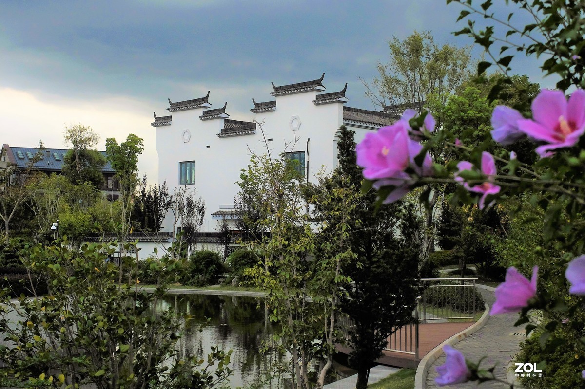 【小小公园的景致】