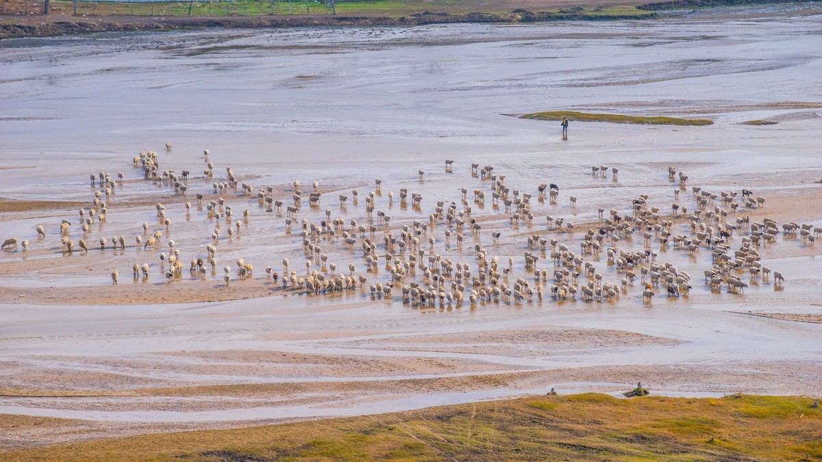 克旗天太永秋色
