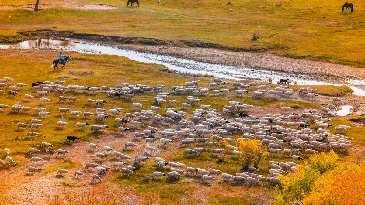 克旗天太永秋色