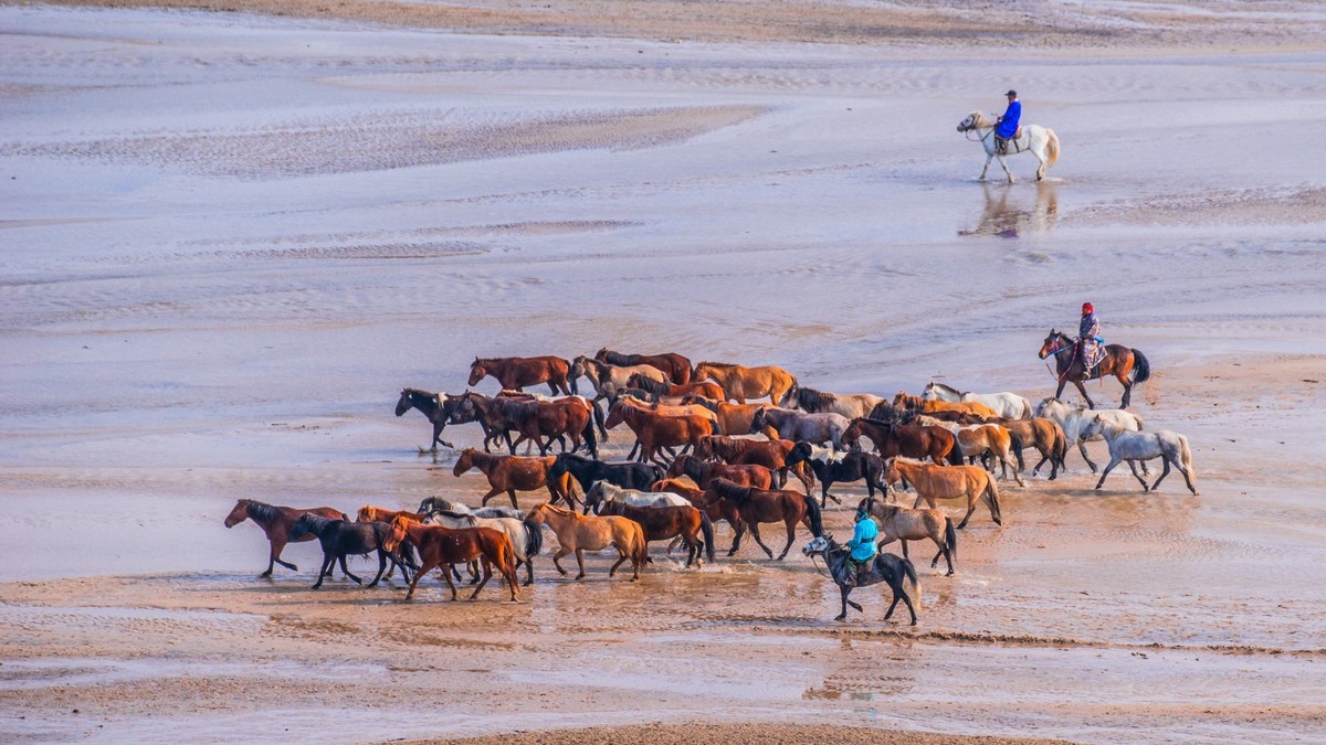 克旗天太永秋色