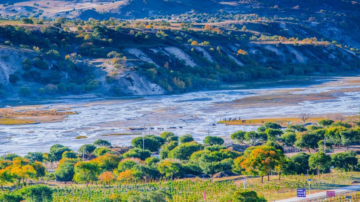 克旗天太永秋色