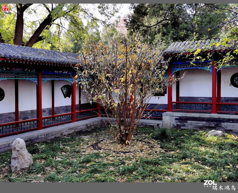 【寻秋记】古朴幽静快雪堂、玲珑剔透园中园