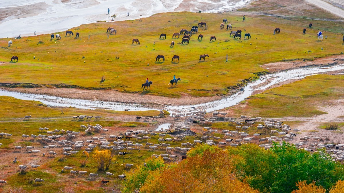 克旗天太永秋色