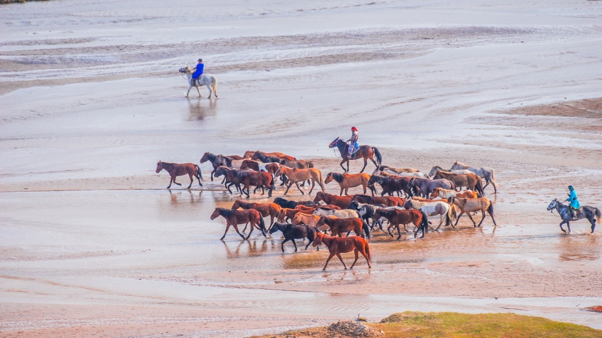 克旗天太永秋色