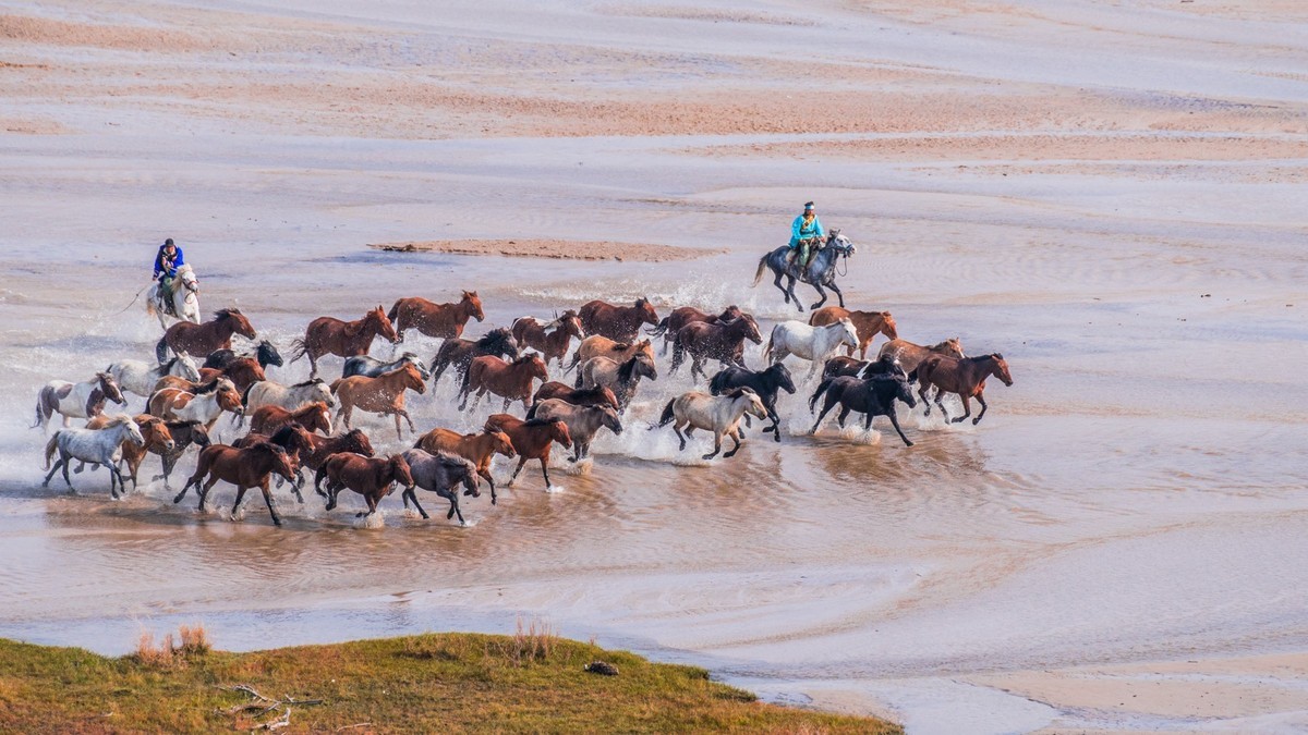克旗天太永秋色