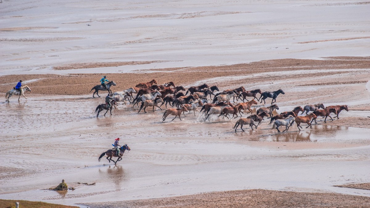 克旗天太永秋色