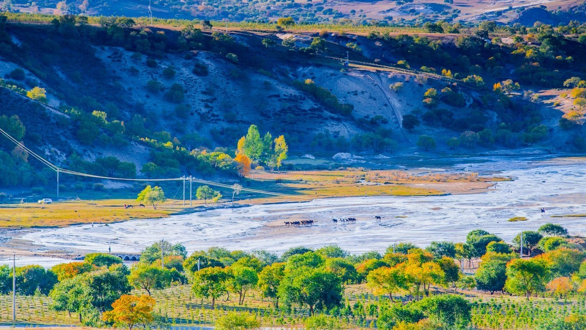 克旗天太永秋色