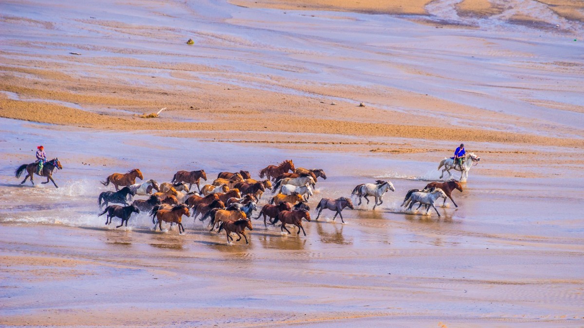 克旗天太永秋色
