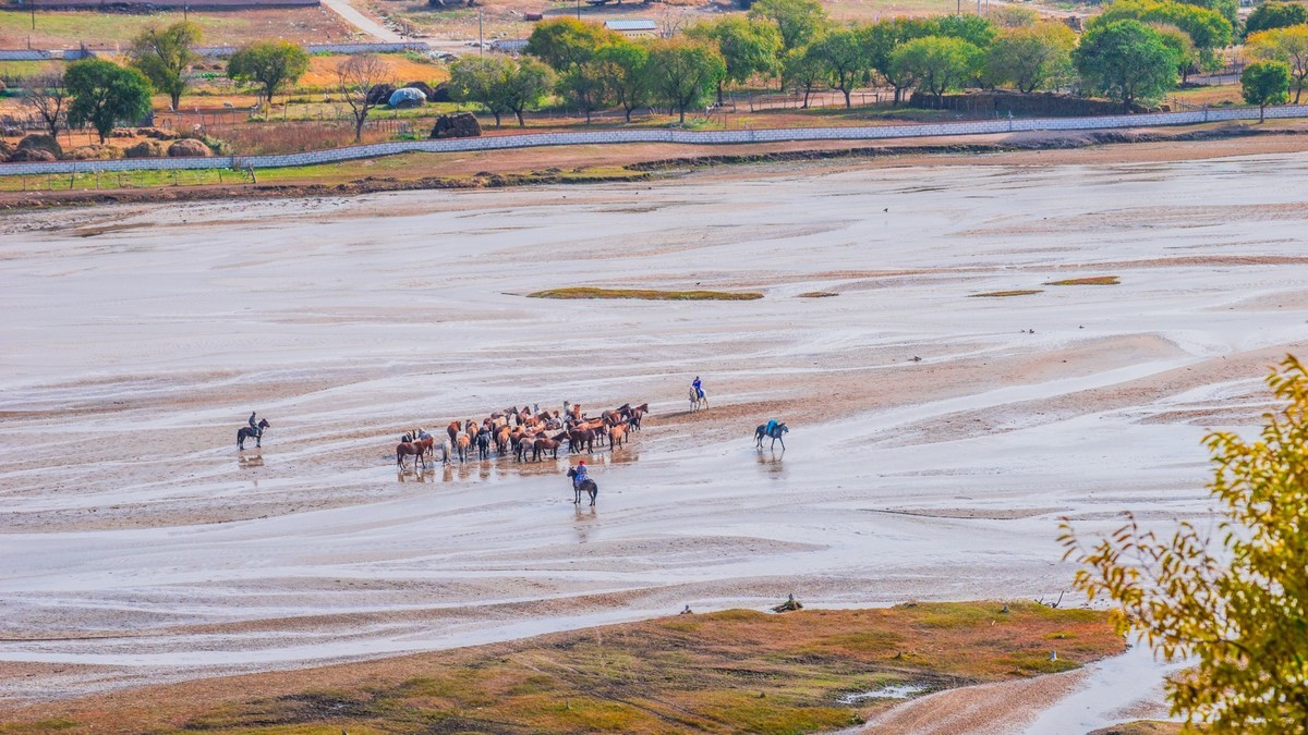 克旗天太永秋色