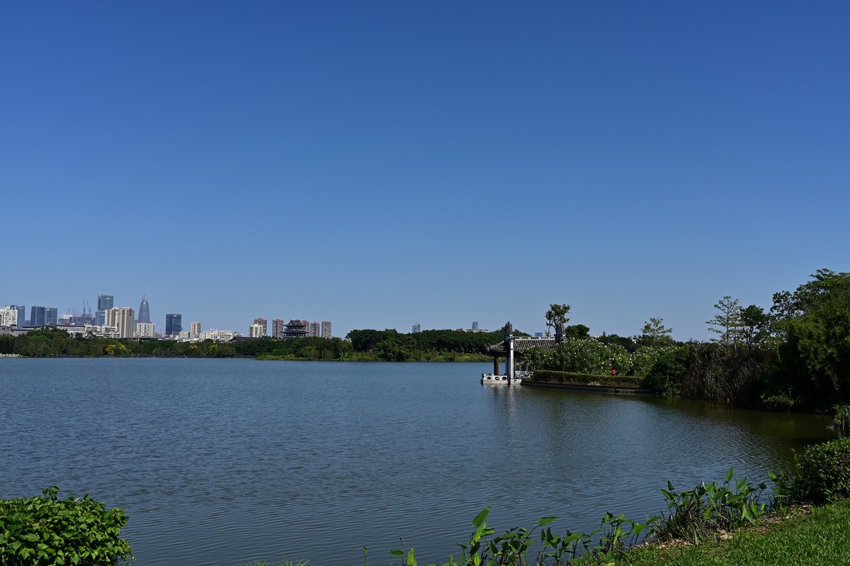 花城随拍（512）——海珠湖（12）