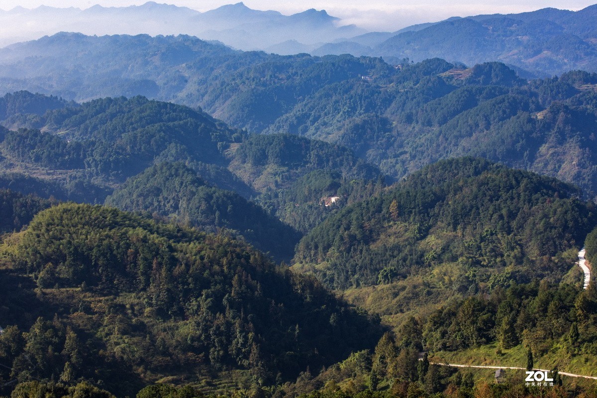 外出随拍（续二）。