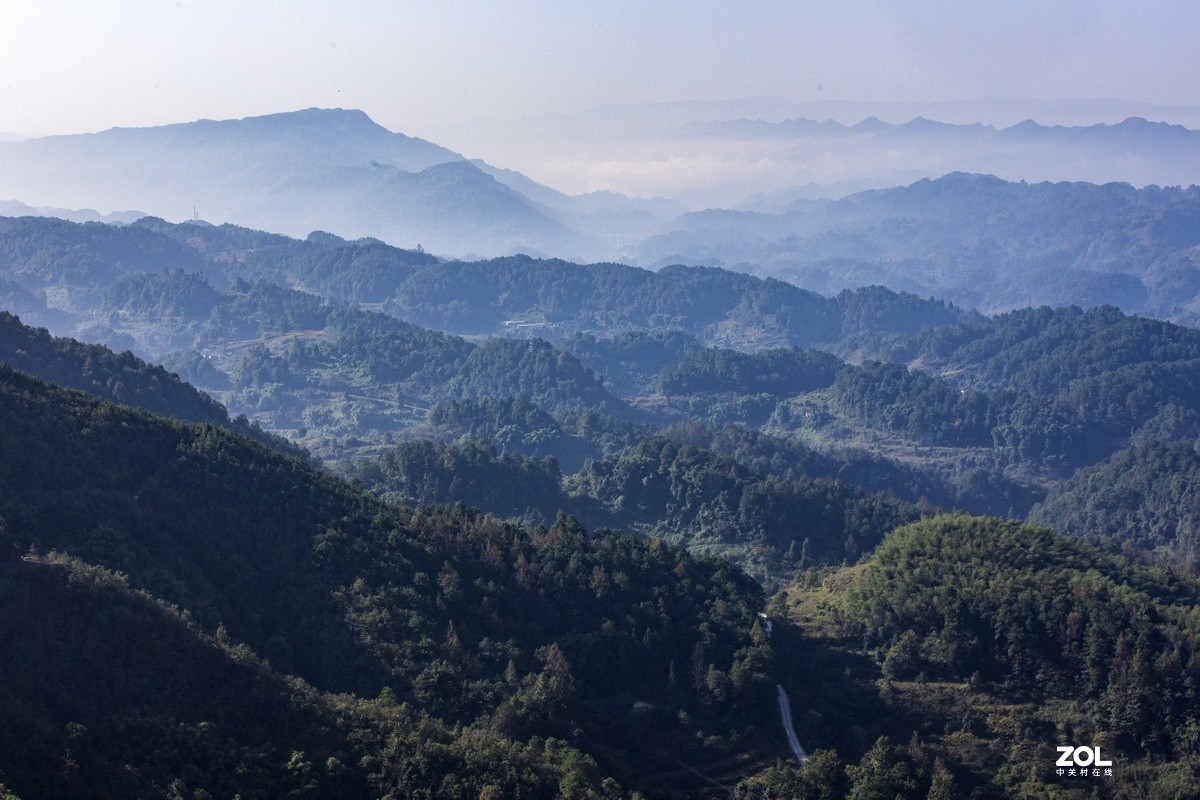 外出随拍（续二）。