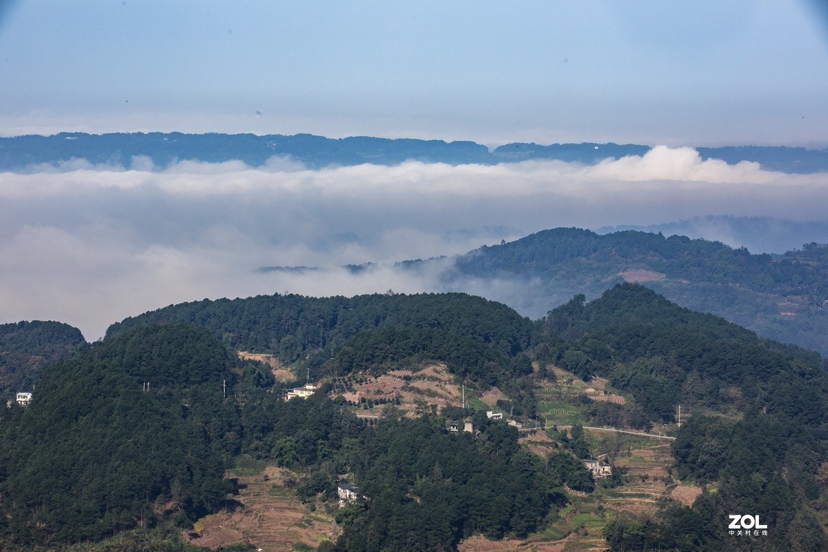 外出随拍（续二）。