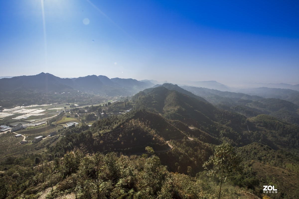 外出随拍（续二）。