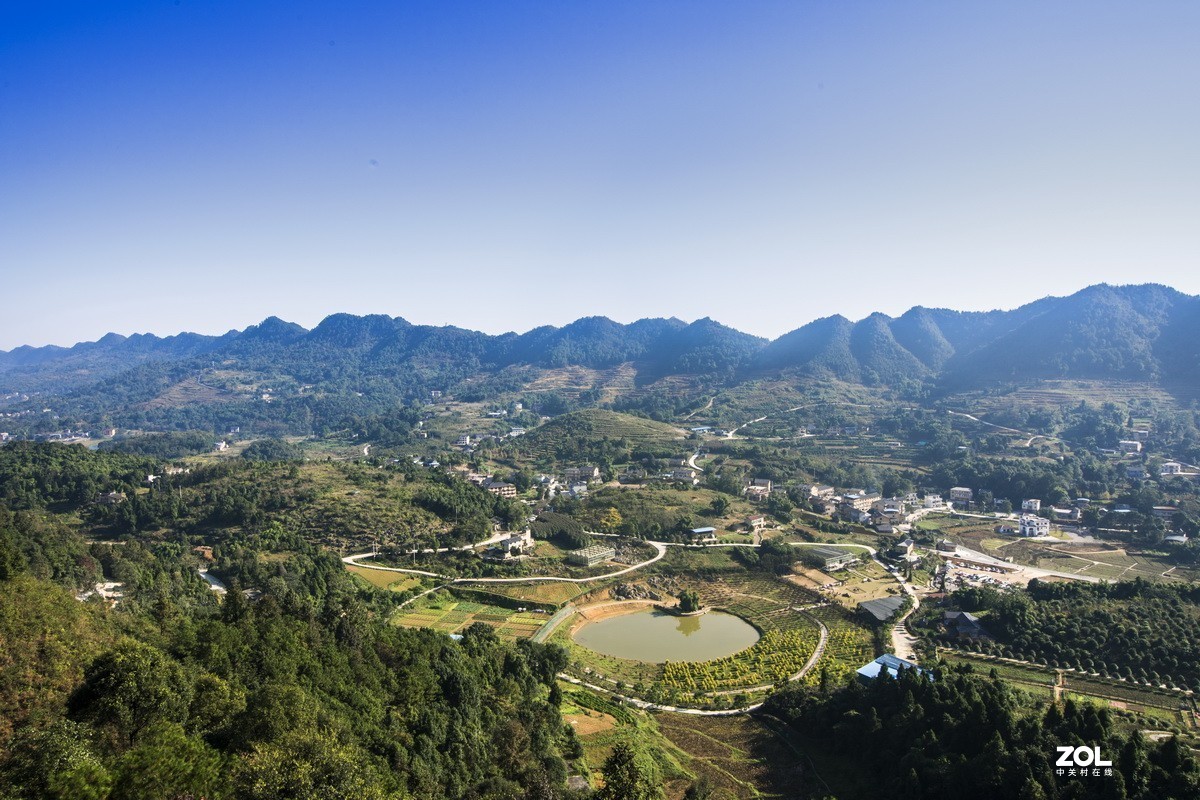 外出随拍（续二）。