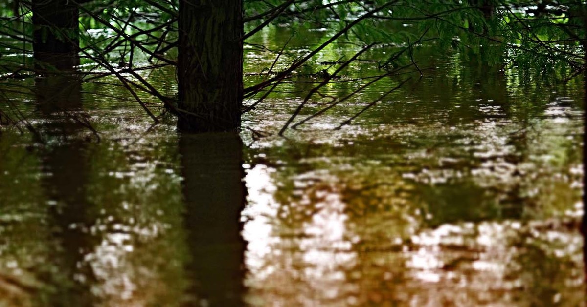 2020年8月20曰长江5号洪峰嘉陵江2号洪峰过境  重庆朝天门