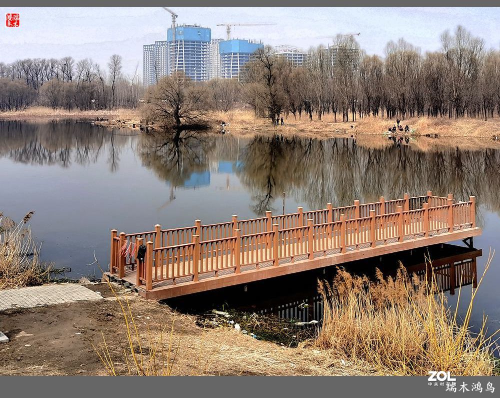 【手机随拍】通往未来科学城的大桥