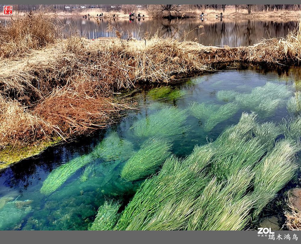【手机随拍】通往未来科学城的大桥