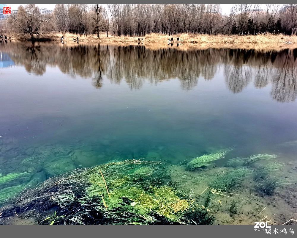 【手机随拍】通往未来科学城的大桥