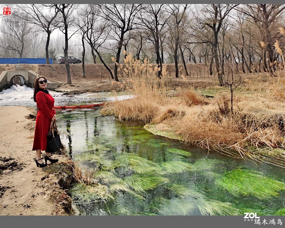【手机随拍】通往未来科学城的大桥