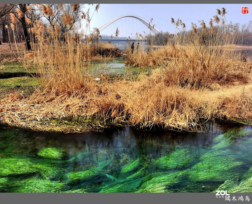 【手机随拍】通往未来科学城的大桥
