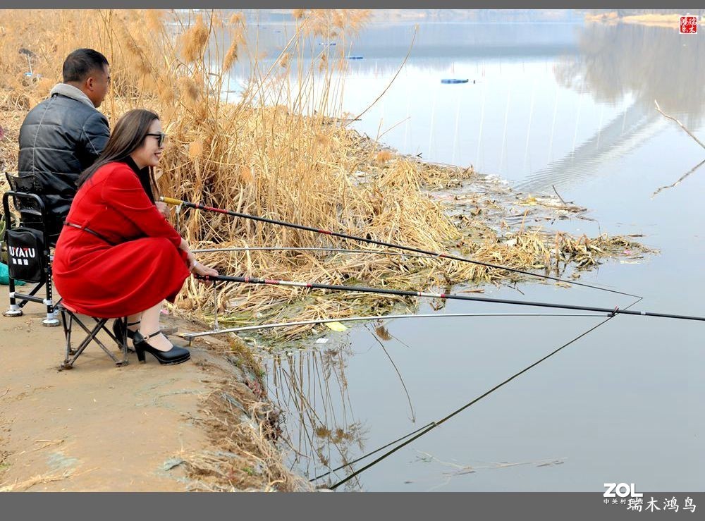 【手机随拍】通往未来科学城的大桥