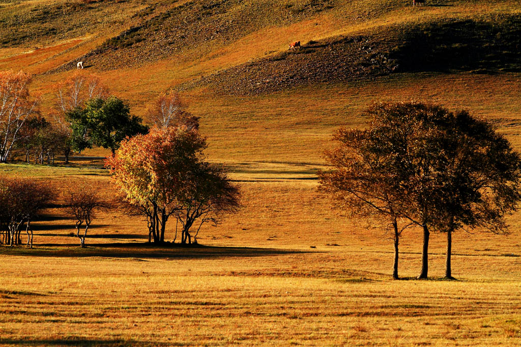 祝福祖国明天会更好