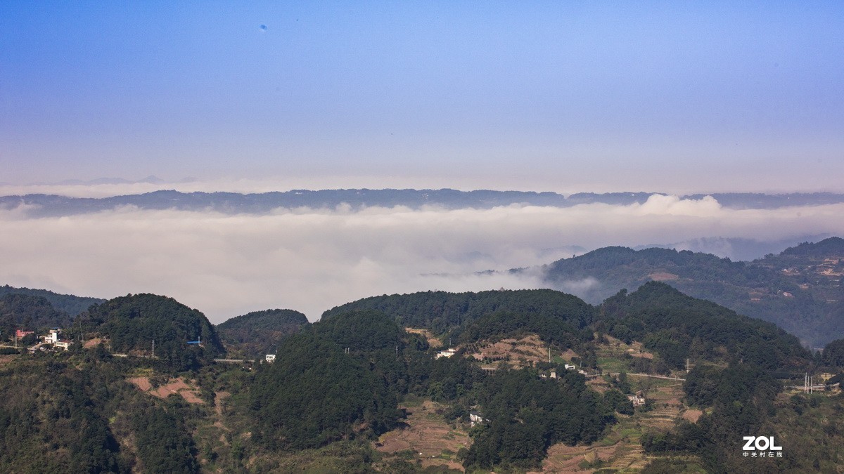 外出随拍（续二）。